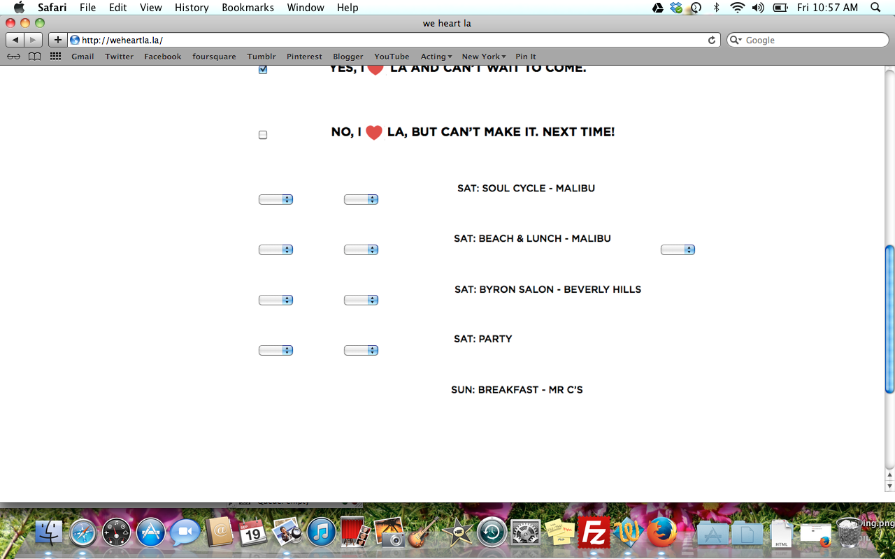 My Full Form Is Not Displaying